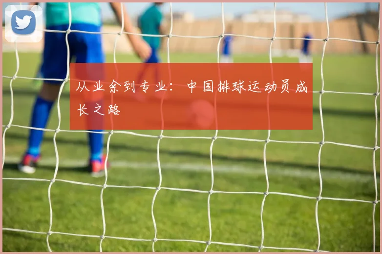 从业余到专业：中国排球运动员成长之路