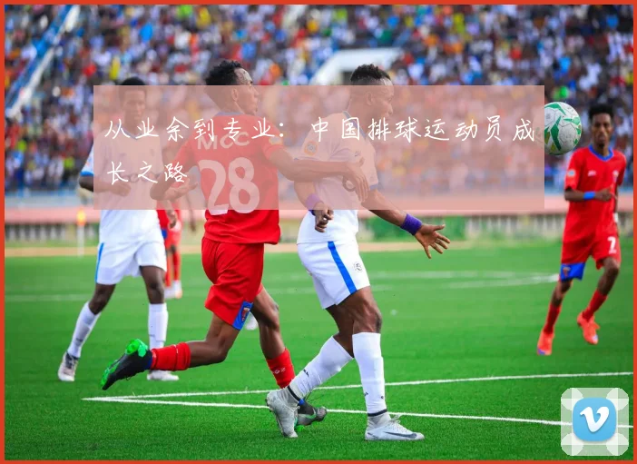 从业余到专业:中国排球运动员成长之路