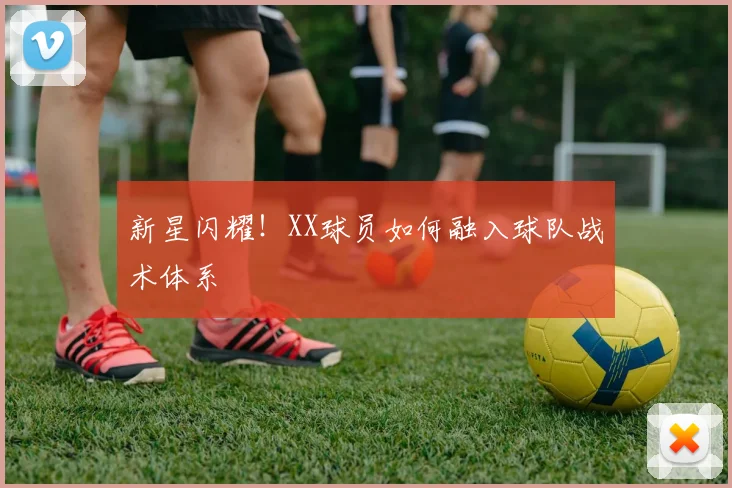 新星闪耀！XX球员如何融入球队战术体系