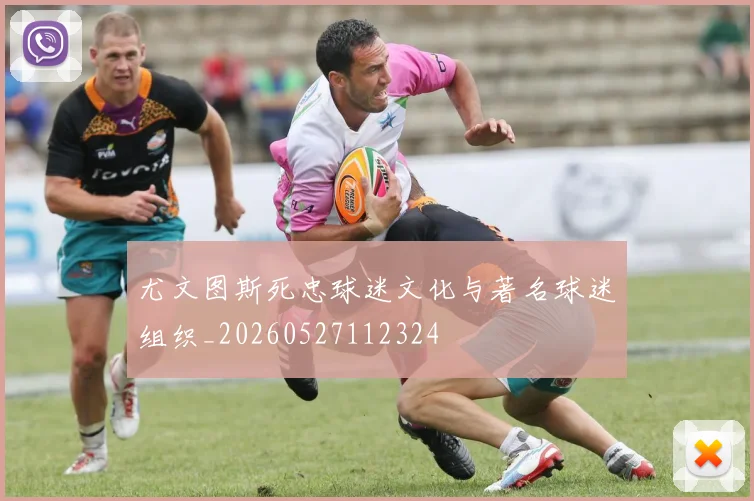 尤文图斯死忠球迷文化与著名球迷组织_20260527112324