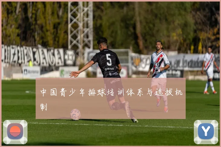中国青少年排球培训体系与选拔机制