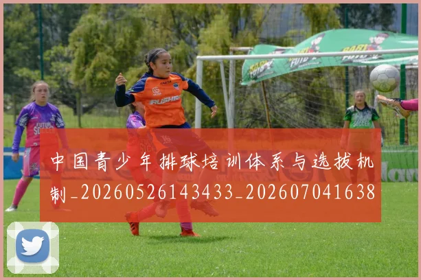 中国青少年排球培训体系与选拔机制_20260526143433_20260704163847