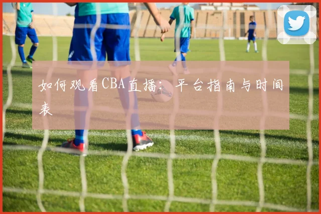 如何观看CBA直播:平台指南与时间表