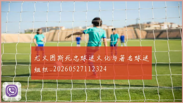 尤文图斯死忠球迷文化与著名球迷组织_20260527112324
